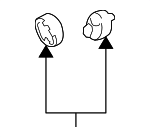 175650P031 - Exhaust: Center Pipe Insulator for Scion: iM, tC, xB | Toyota: Avalon, Camry, Corolla, Corolla Cross, Corolla iM, Crown, Crown Signia, Highlander, Matrix, Prius, Prius Plug-In, Prius Prime, Prius V, RAV4, Solara Image