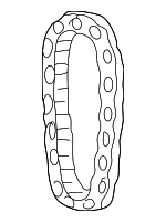 10166352 - Engine: Timing Chain for Buick: Century, Regal, Skylark | Chevrolet: Beretta, Corsica, Lumina, Lumina APV, Malibu, Monte Carlo, Venture | Oldsmobile: Achieva, Alero, Cutlass, Cutlass Ciera, Cutlass Cruiser, Cutlass Supreme, Silhouette | Pontiac: Grand Am, Grand Prix, Montana, Trans Sport Image