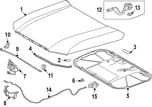 Hood & Components for 2025 Toyota Land Cruiser #0
