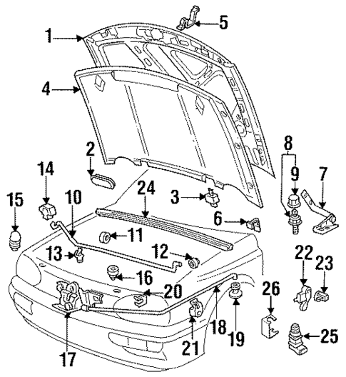 Hood & Components for 1996 Volkswagen Cabrio #0