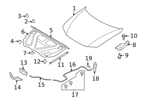 Hood & Components for 2011 Hyundai Azera #0