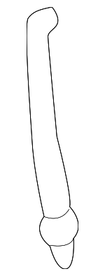 15721569 - Body: Handle, Outside Rod for Cadillac: Escalade ESV, Escalade EXT | Chevrolet: Avalanche 1500, Avalanche 2500, Silverado 1500, Silverado 1500 Classic, Silverado 1500 HD, Silverado 1500 HD Classic, Silverado 2500, Silverado 2500 HD, Silverado 2500 HD Classic, Silverado 3500, Silverado 3500 Classic, Silverado 3500 HD, Suburban 1500, Suburban 2500 | GMC: Sierra 1500, Sierra 1500 Classic, Sierra 1500 HD, Sierra 1500 HD Classic, Sierra 2500, Sierra 2500 HD, Sierra 2500 HD Classic, Sierra 3500, Sierra 3500 Classic, Sierra 3500 HD, Yukon XL 1500, Yukon XL 2500 Image