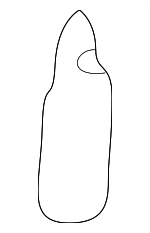 23400194 - Body: Bulb for Lexus Image