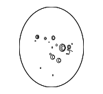 56111P2100WK - Steering: Steering Wheel for Kia: Sorento Image