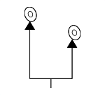 1995-2025 Honda - Nut Push (3MM)