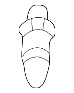 22711506 - Body: Striker for Saturn: L100, L200, L300, LS, LS1, LS2, LW1, LW2, LW200, LW300 Image