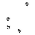 2017-2025 Honda - Clamp Tube (D12)