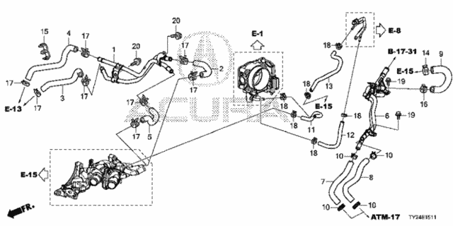 Water Hose (4WD) for 2020 Acura RLX #0