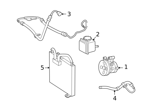 Pump & Hoses for 2010 Mercedes-Benz CLS63 AMG #0