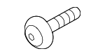 31437021 - Cooling System: Trans Cooler Screw for Volvo Image