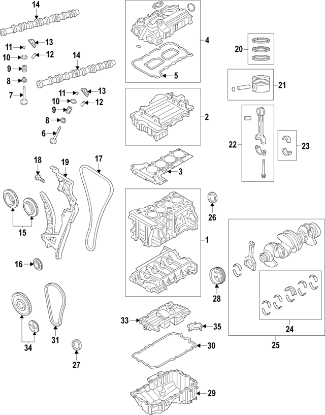 11340038719 - Engine: Engine Valve Stem Oil Seal for BMW: 228i, 228i Gran Coupe, 228i xDrive, 228i xDrive Gran Coupe, 230i, 230i xDrive, 320i, 320i xDrive, 328i, 328i GT xDrive, 328i xDrive, 330e, 330e xDrive, 330i, 330i GT xDrive, 330i xDrive, 428i, 428i Gran Coupe, 428i xDrive, 428i xDrive Gran Coupe, 430i, 430i Gran Coupe, 430i xDrive, 430i xDrive Gran Coupe, 528i, 528i xDrive, 530e, 530e xDrive, 530i, 530i xDrive, 540i, 740e xDrive, 745e xDrive, i8, M2, M235i xDrive Gran Coupe, M3, M340i, M340i xDrive, M4, X1, X2, X3, X4, X5, Z4 Image