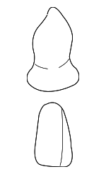 866992D000 - Body: Bumper Cover Retainer for Hyundai: Elantra, Entourage, Sonata, Tiburon, XG300, XG350 Image