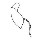 9190314 - Body: Tow Bracket Cover for Volvo Image