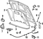 1W1Z16612AA - Body: Hood for Lincoln: Town Car Image