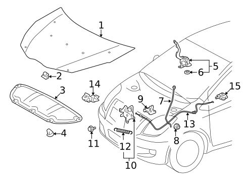 Hood & Components for 2017 Toyota Yaris #0