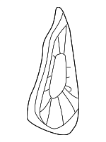 4333894 - : Wheel Housing Dirt Cover for Saab: 9-3, 900 Image