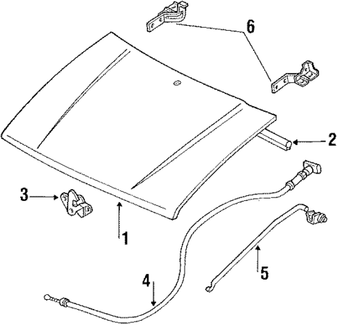 Hood & Components for 1990 Ford Festiva #0