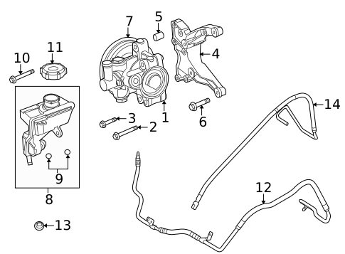 Pump & Hoses for 2010 Ford Focus #0
