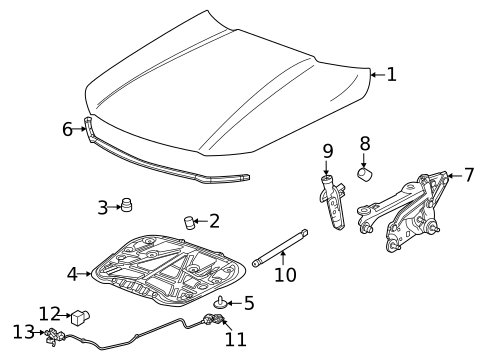 Hood & Components for 2020 Cadillac CT4 #0