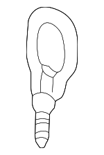 6N0805615B - Body: Tow Hook for Volkswagen Image