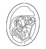 32307845807 - Steering: Steering Wheel for BMW Image