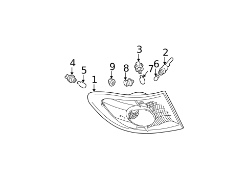Bulbs - Chassis for 2003 Lexus ES300 #2