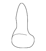 1243806161 - Body: Dome Lamp Assembly Screw for Hyundai Image