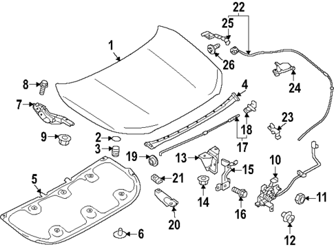 Hood & Components for 2025 Subaru Forester #0