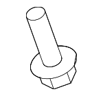 Map Lamp Assembly Screw