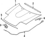 NAY152310D - Body: Hood for Mazda: Miata Image