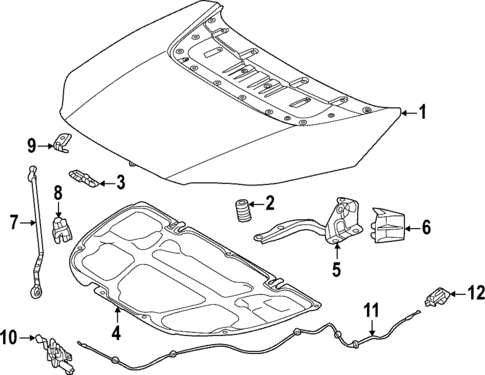 Hood & Components for 2025 Toyota bZ4X #0