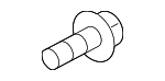 Actuator Bolt