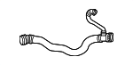 17129797615 - Cooling System: Lower Hose for BMW: X3, X4 Image