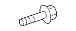 Center Molding Screw