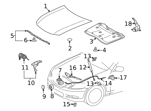 Hood & Components for 2011 Lexus GS450h #0
