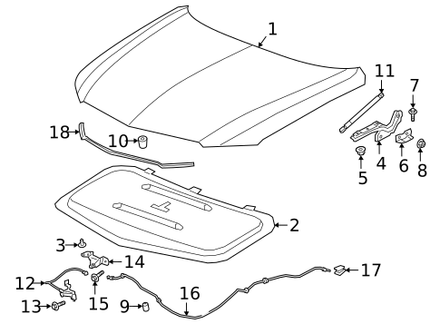 Hood & Components for 2025 Cadillac XT6 #0