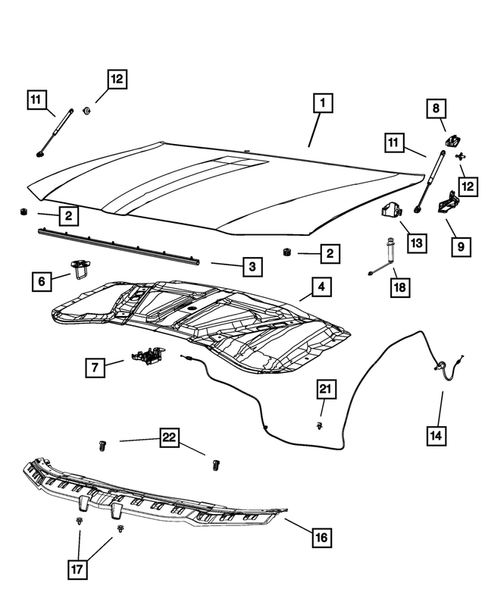 Hood and Hood Release for 2019 Chrysler 300 #0