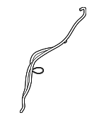 95B941559B - : Vent Hose for Porsche: Macan Image