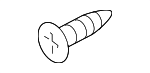 License Bracket Screw