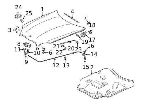 Hood & Components for 2002 Mercedes-Benz SLK 32 AMG&reg; #0