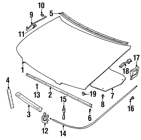 Hood & Components for 2001 Suzuki Esteem #0
