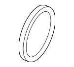 32252830 - Cooling System: Inter-cooler O-Ring for Volvo Image