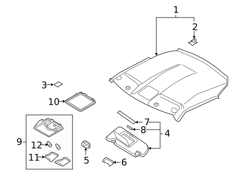 Interior Trim - Roof for 2021 Nissan GT-R #0