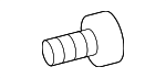 11570710 - Body: Fender Molding Bolt for GM Image