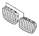 51138250051 - Body: Grille for BMW Image