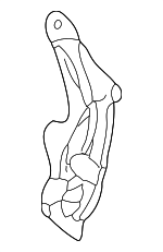 4B1857320K - Body: Support for Audi: Allroad Quattro Image