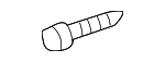 License Bracket Screw