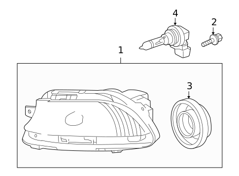 Bulbs - Chassis for 2009 Lexus LS600h #1