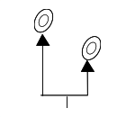 995621000 - Brakes: Brake Hose Gasket for Mazda: 3, 6, CX-3, CX-30, CX-5, CX-50, CX-70, CX-9, CX-90, MX-30 EV, MX-5 Miata Image