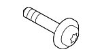 C2P3803 - Body: Rocker Molding Bolt for Jaguar Image